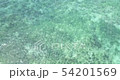 Flying over the Indian ocean on the Swahili coast. 54201569