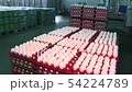 Chicken eggs at the poultry farm. farm, industry. 54224789