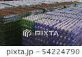Chicken eggs at the poultry farm. farm, industry. 54224790