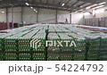 Chicken eggs at the poultry farm. farm, industry. 54224792