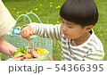 Picnic lunch 54366395
