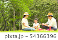 Families enjoying picnics 54366396