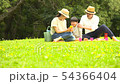 Families enjoying picnics 54366404