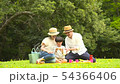 Families enjoying picnics 54366406