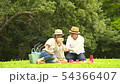Families enjoying picnics 54366407