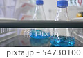 Glass flasks in the laboratory. Stir the blue substance. Medical laboratory makes analyzes 54730100