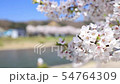 Kadodate Kushikiuchi River Embankment Cherry blossoms Image Blur Yes 54764309