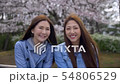 Japanese women smiling during cherry blossom time. 54806529