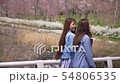 Japanese women walking in beautiful spring park 54806535