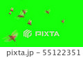 Insect Animations for Compositing 55122351