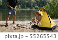 A man collects firewood for a fire near the tent. The girl sits in a tent and drinks tea. Hiking 55265543