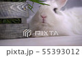 A funny looking rabbit with a big nose breathing a 55393012