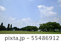 Summer sky 55486912
