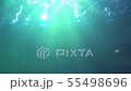 Underwater shot with sun rays and fishes. 55498696