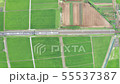 火車到城市 55537387