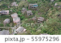 浙江，中國舟山汝矣島 55975296