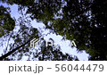万葉の森 56044479