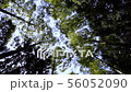 万葉の森 56052090