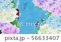 和と鯉の背景素材 56633407