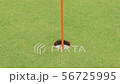 Golf put cup in image 56725995