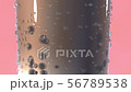tapioca, milk tea, tea 56789538