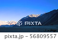 Camel safari at Hundar sand dunes in Nubra Valley, 56809557