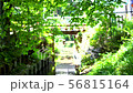 都内の自然ー緑・橋・河 56815164