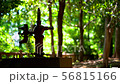 古びたポンプ 56815166