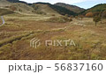 秋季Tomine高原09 56837160