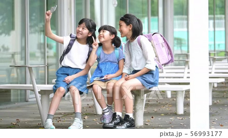 小学生 スマホ 自撮り 女の子 学校生活イメージの動画素材