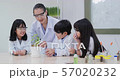 Group of Student and Teacher in Chemistry at Classroom Lab. Educational Biology Project. Science and Education Concept. 57020232