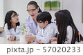 Group of Student and Teacher in Chemistry at Classroom Lab. Educational Biology Project. Science and Education Concept. 57020233