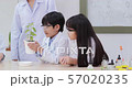 Group of Student and Teacher in Chemistry at Classroom Lab. Educational Biology Project. Science and Education Concept. 57020235