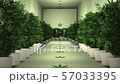 Cannabis Plants in Cultivation Room Animation 1 57033395