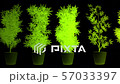 Cannabis Plants in Abstract Lights Looping 3D Animation 57033397