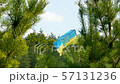Ukrainian flag with a coat of arms among pines and firs. Close-up 57131236