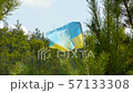 Ukrainian flag with a coat of arms among pines and firs.Super Close-up 57133308