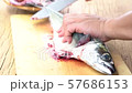 魚　捌く　鯖の刺し身 57686153