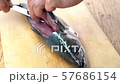 魚　捌く　鯖の刺し身 57686154