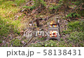 Wood burning folding twig stove in forest background 58138431
