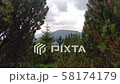 Gentle wind moves tree Juniper path in mountain  58174179