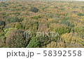 Infinity autumn forest bird's-eye view 58392558