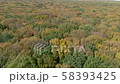 Infinity autumn forest bird's-eye view 58393425