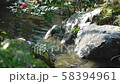 滝と小川のせせらぎ（京都府 水景園） 58394961
