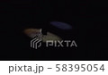 ライトの揺らぎ	 58395054