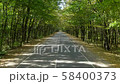 Asphalt road through autumn forest 58400373