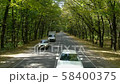 Asphalt road through autumn forest 58400375