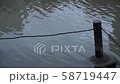 汚れた、濁った川と杭,Dirty, cloudy river,piles slow motion 58719447
