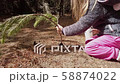 Little Girl Planting a Tree 58874022
