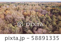Aerial view of the autumn forests around Warsaw 58891335